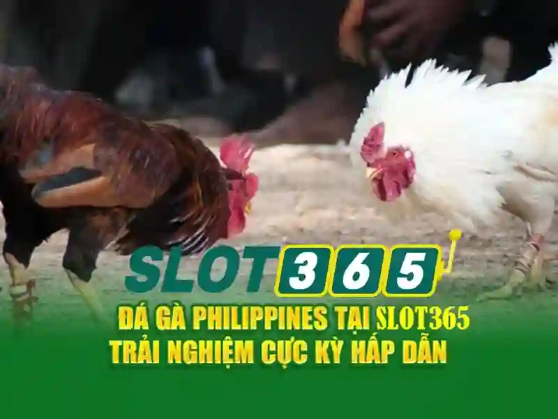 Game bắn cá C54 được nhiều người chơi yêu thích