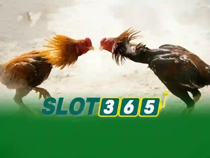 Game bắn cá C54 được nhiều người chơi yêu thích