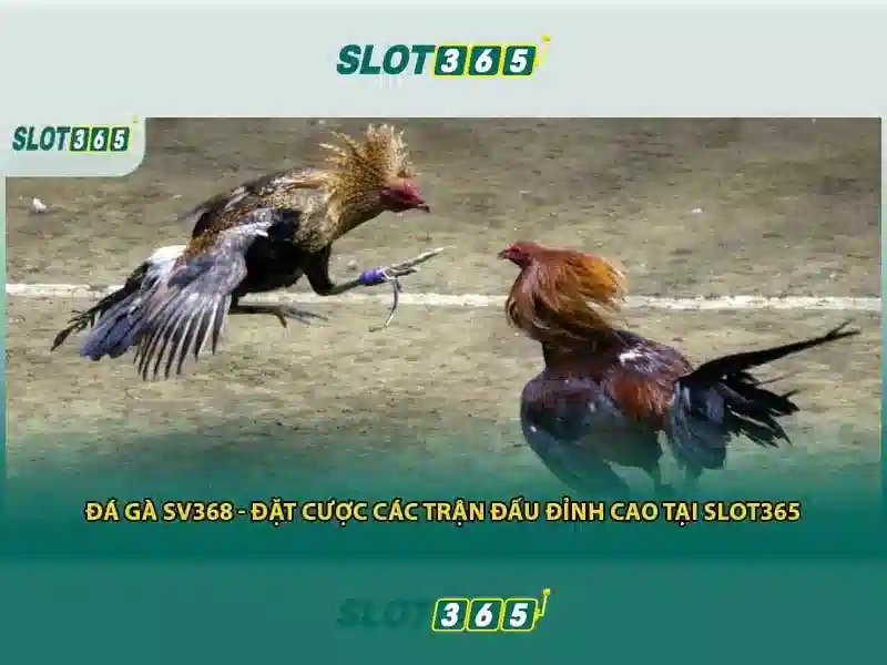 Game bắn cá C54 được nhiều người chơi yêu thích