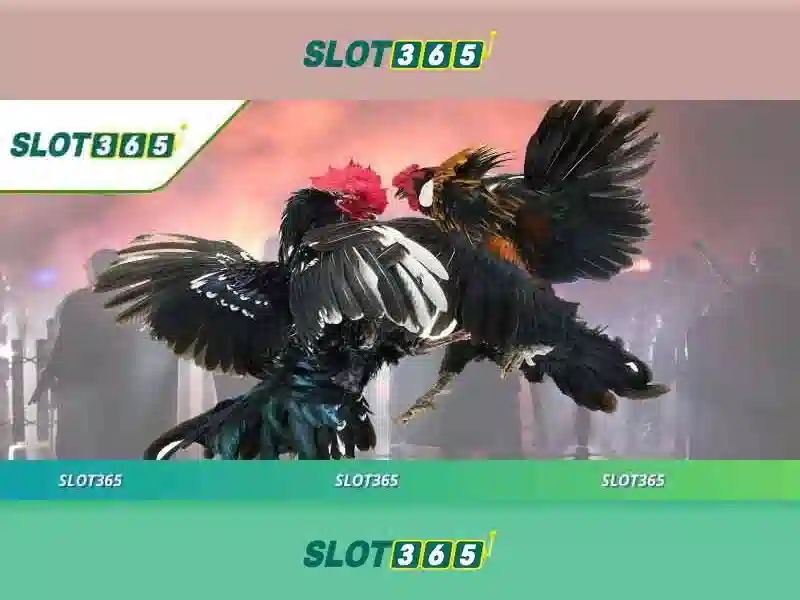 Slot365 và hành trình giải trí