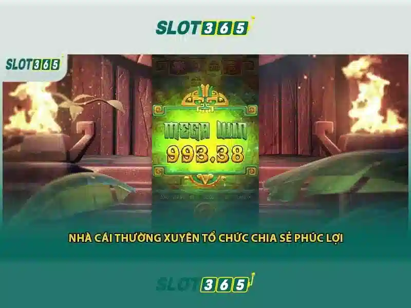 Slot365 - Cổng trò chơi xèng trực tuyến uy tín