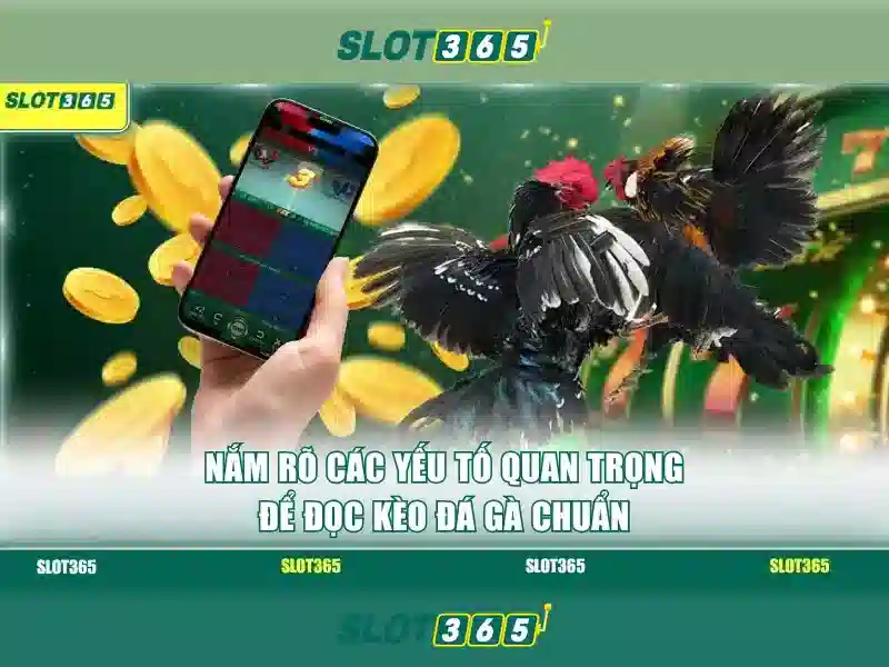 Slot365 – Trải nghiệm casino trực tuyến hàng đầu