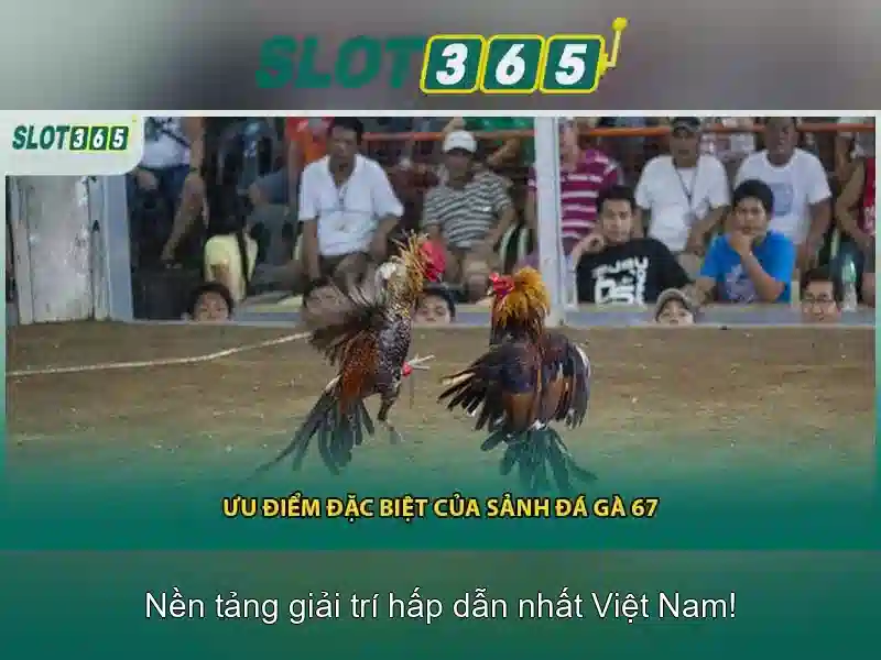 Game bắn cá C54 được nhiều người chơi yêu thích