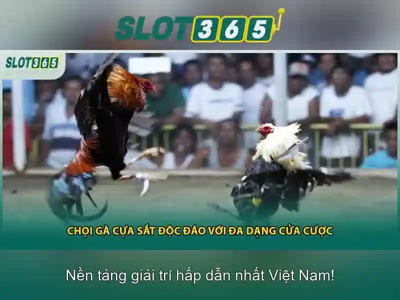 Game bắn cá C54 được nhiều người chơi yêu thích