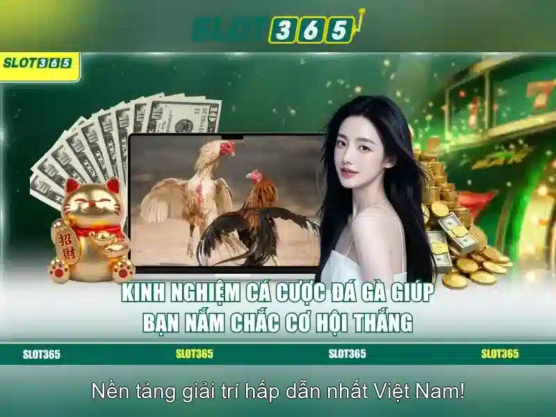 Slot365: Nền tảng slot trực tuyến hàng đầu cho người Việt