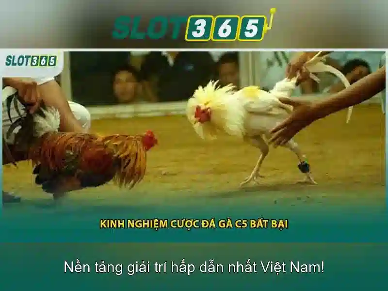 Game bắn cá C54 được nhiều người chơi yêu thích