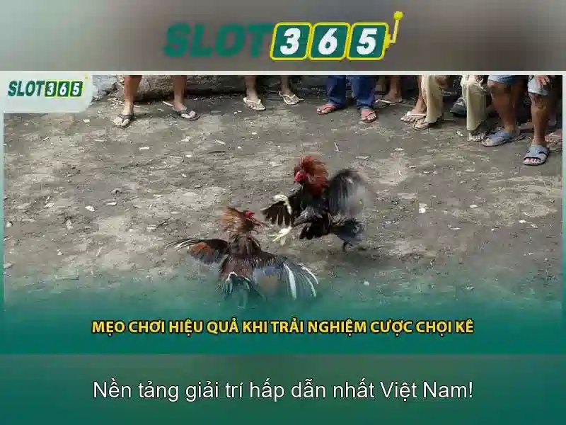 Game bắn cá C54 được nhiều người chơi yêu thích